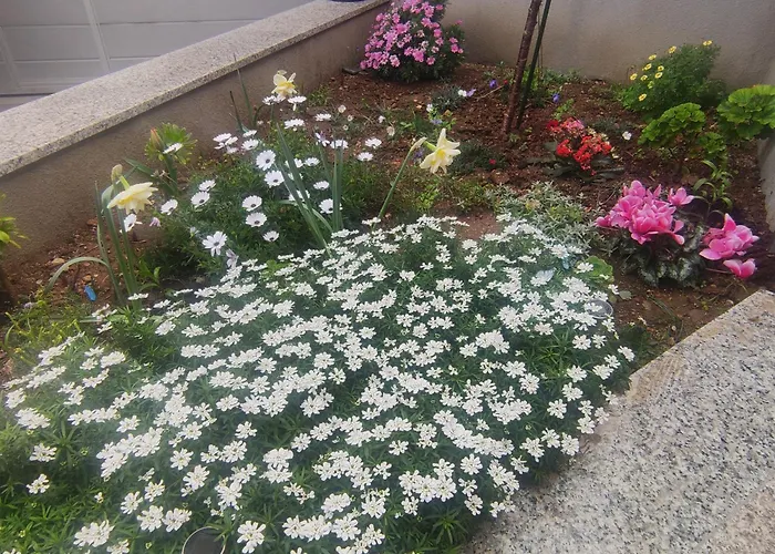 Vivien Apartamento *